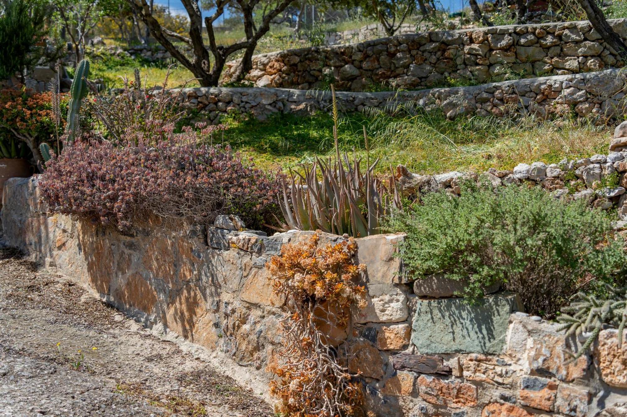 Rafaela'S Sea View House Lägenhet Agios Nikolaos Exteriör bild